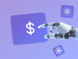 Monitore della crescita del portafoglio di criptovalute che visualizza i guadagni e l'ammontare disponibile su Drago Lucrietto